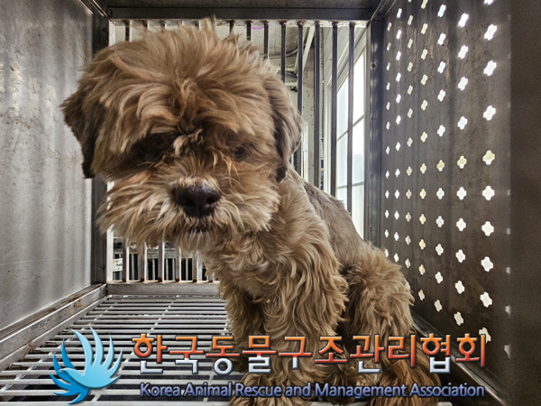 한국동물구조관리협회_411318202400445